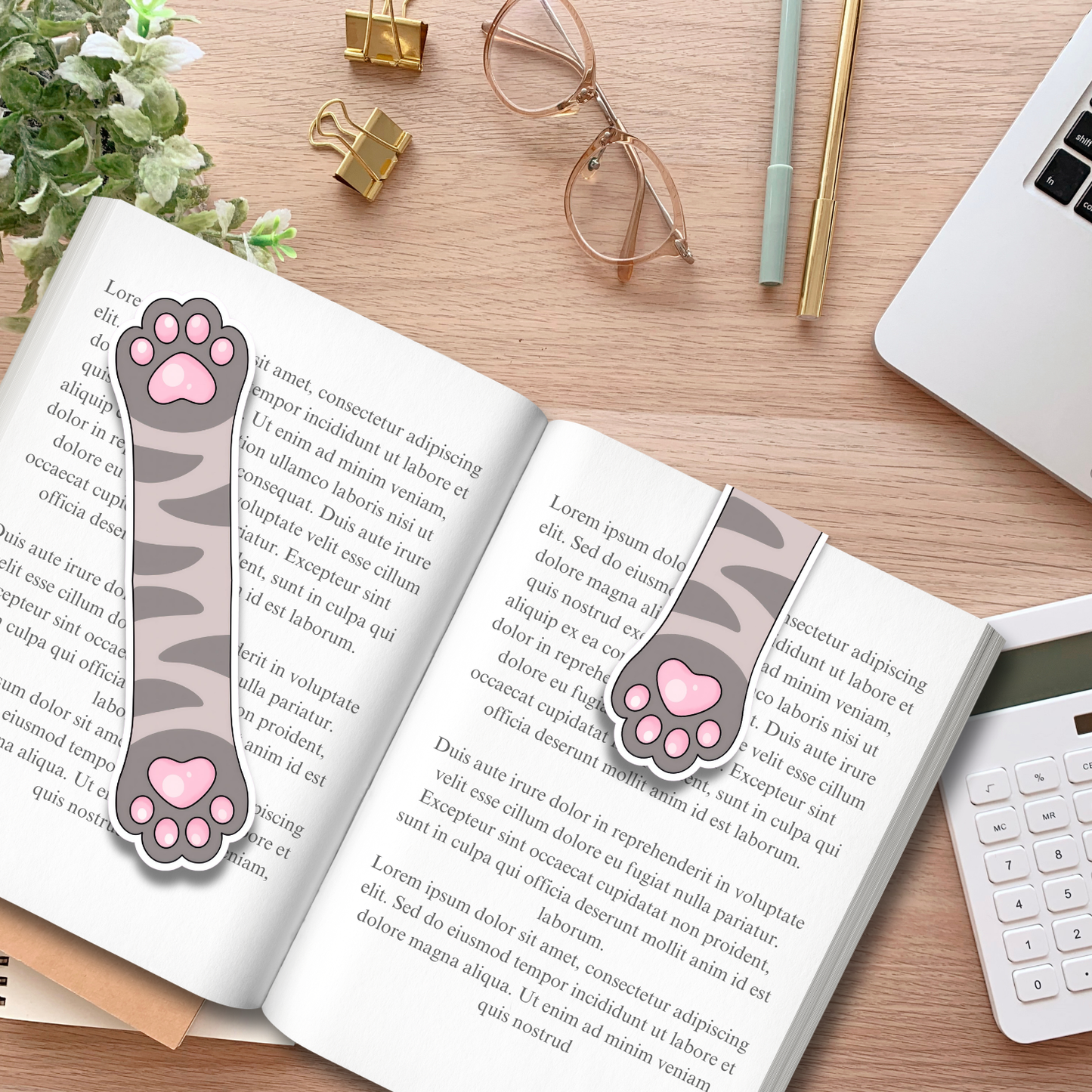 Gray Tabby Cat Paw