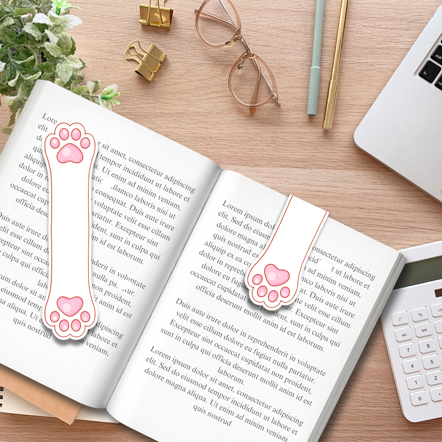 White Cat Paw