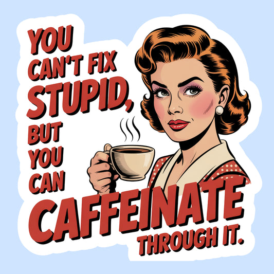 You Can’t Fix Stupid