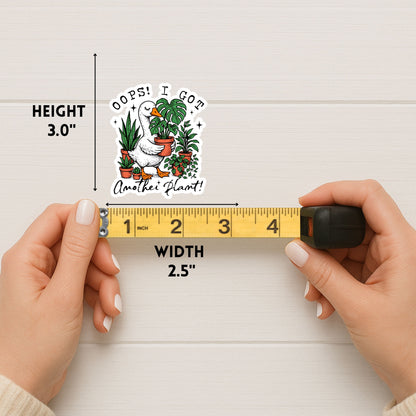 Oops I Got Another Plant!