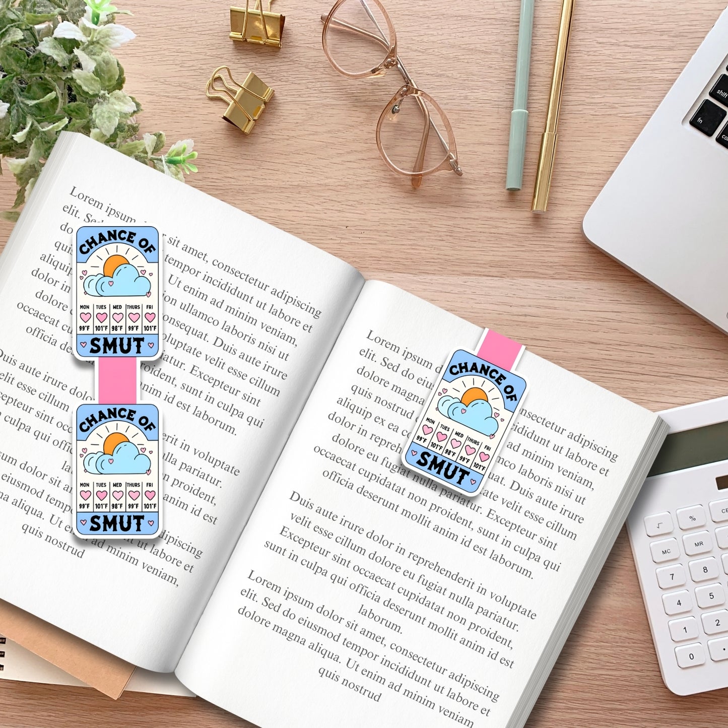 Chance of Smut Forecast