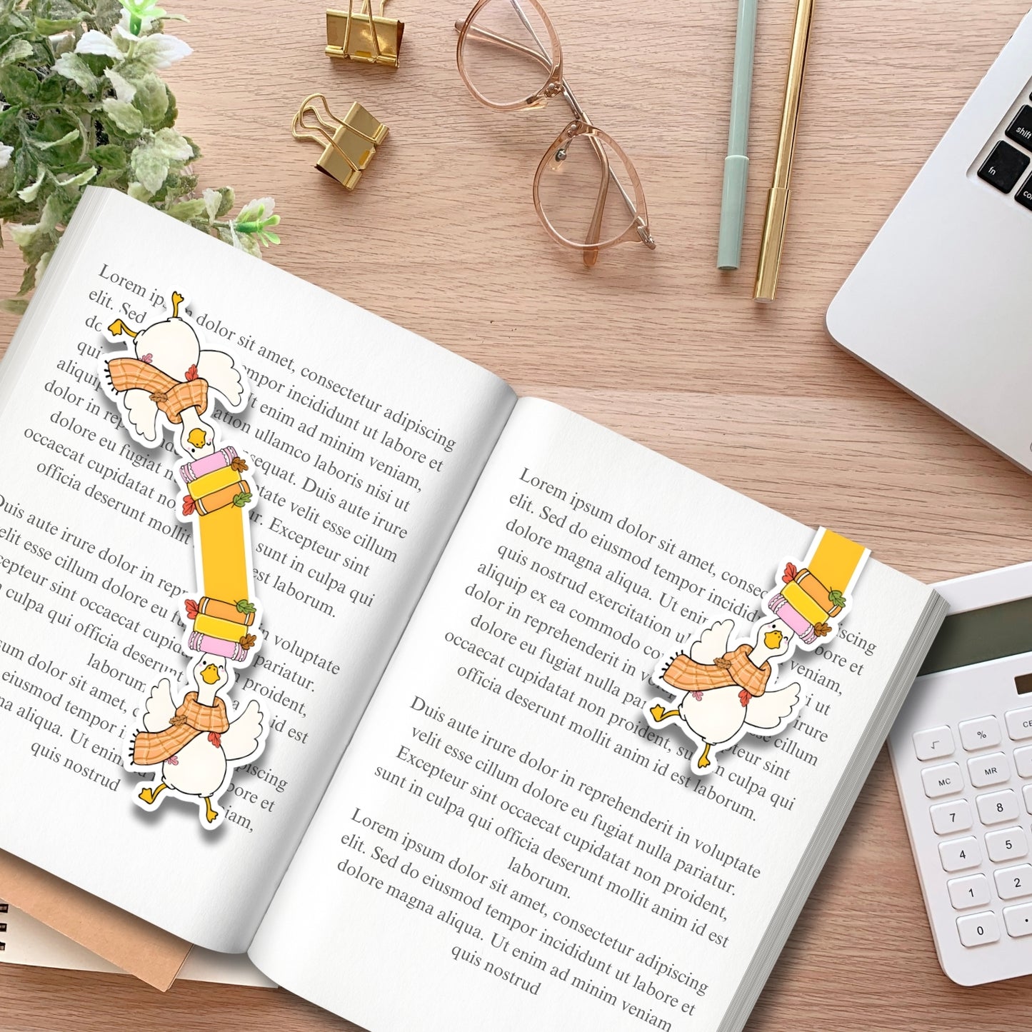 Balancing Duck with Books