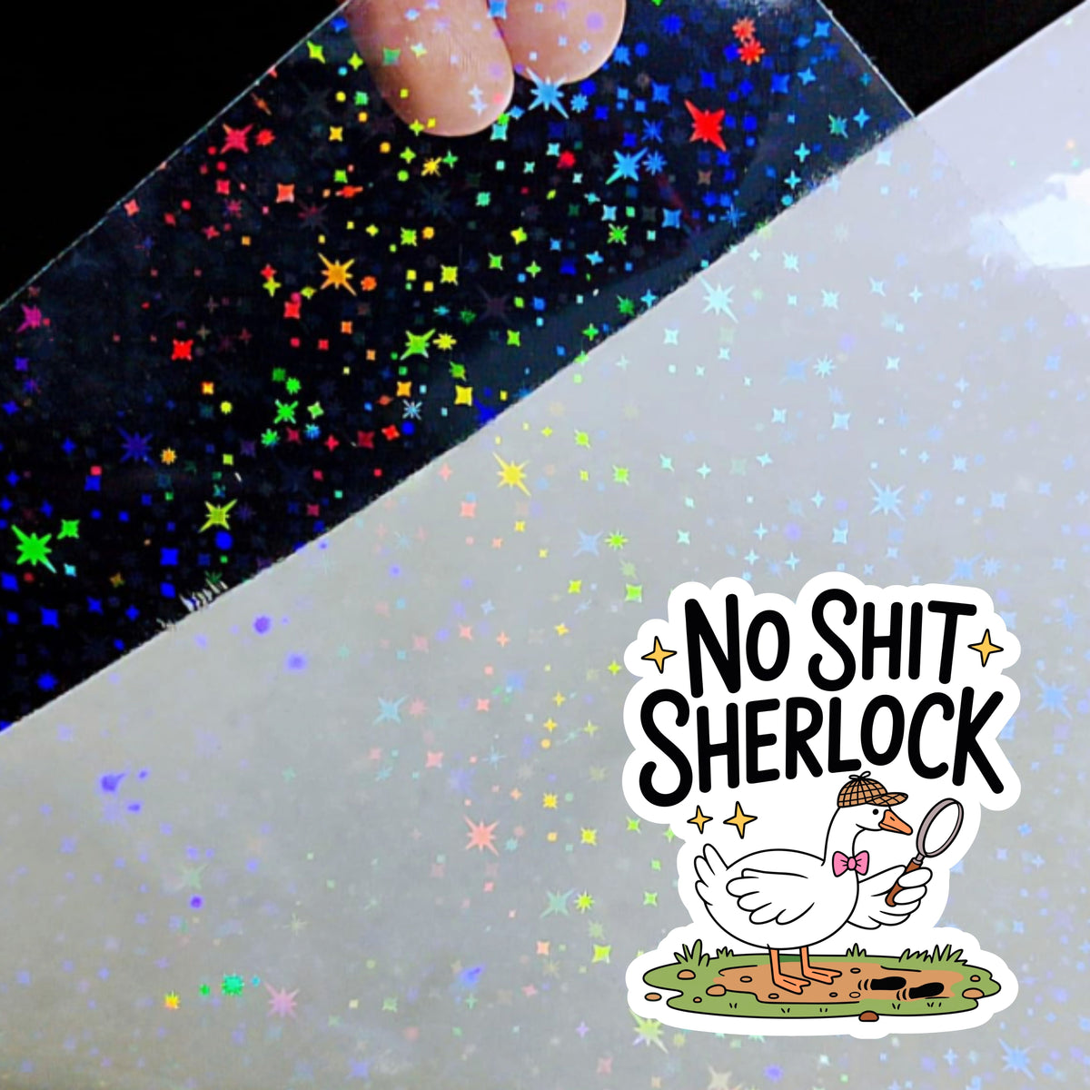 No Shit, Sherlock