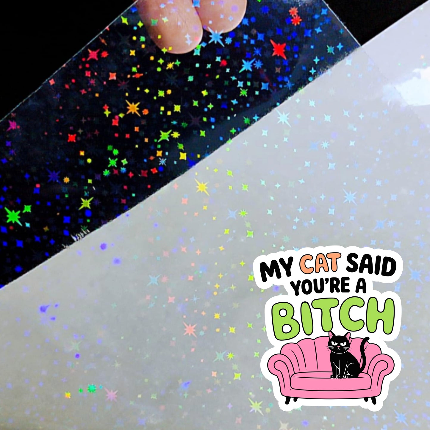 My Cat Said You're a Bitch