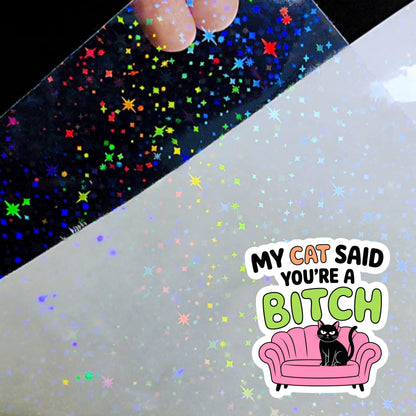 My Cat Said You're a Bitch