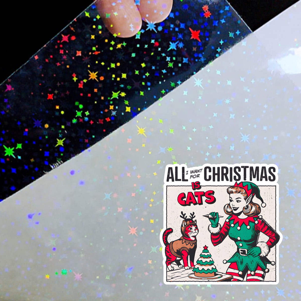 All I Want for Christmas Is Cats