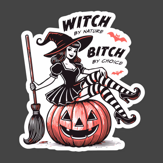 Witch by Nature, Bitch by Choice